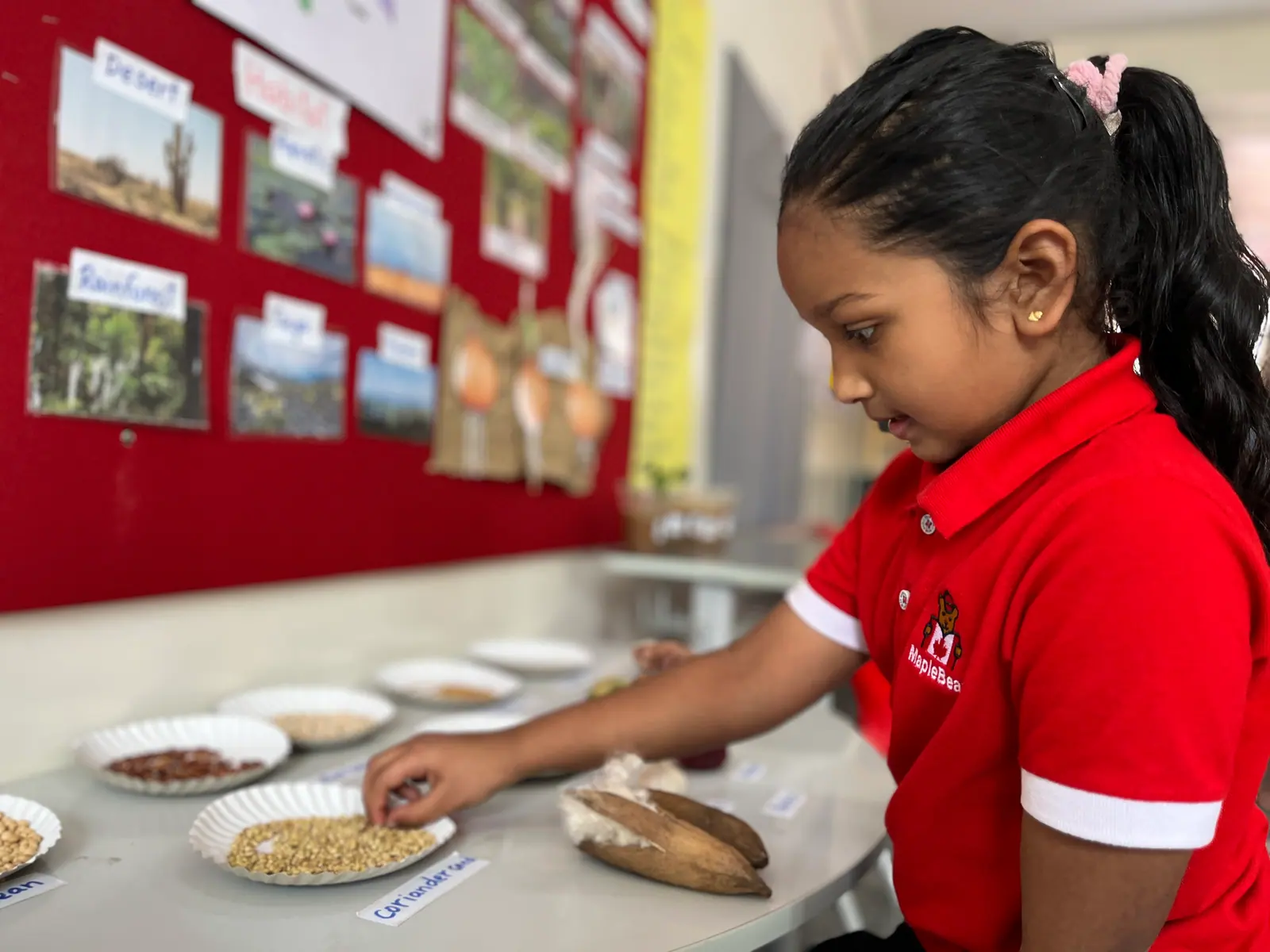 Children sorting different grains and pulses during a hands-on learning activity